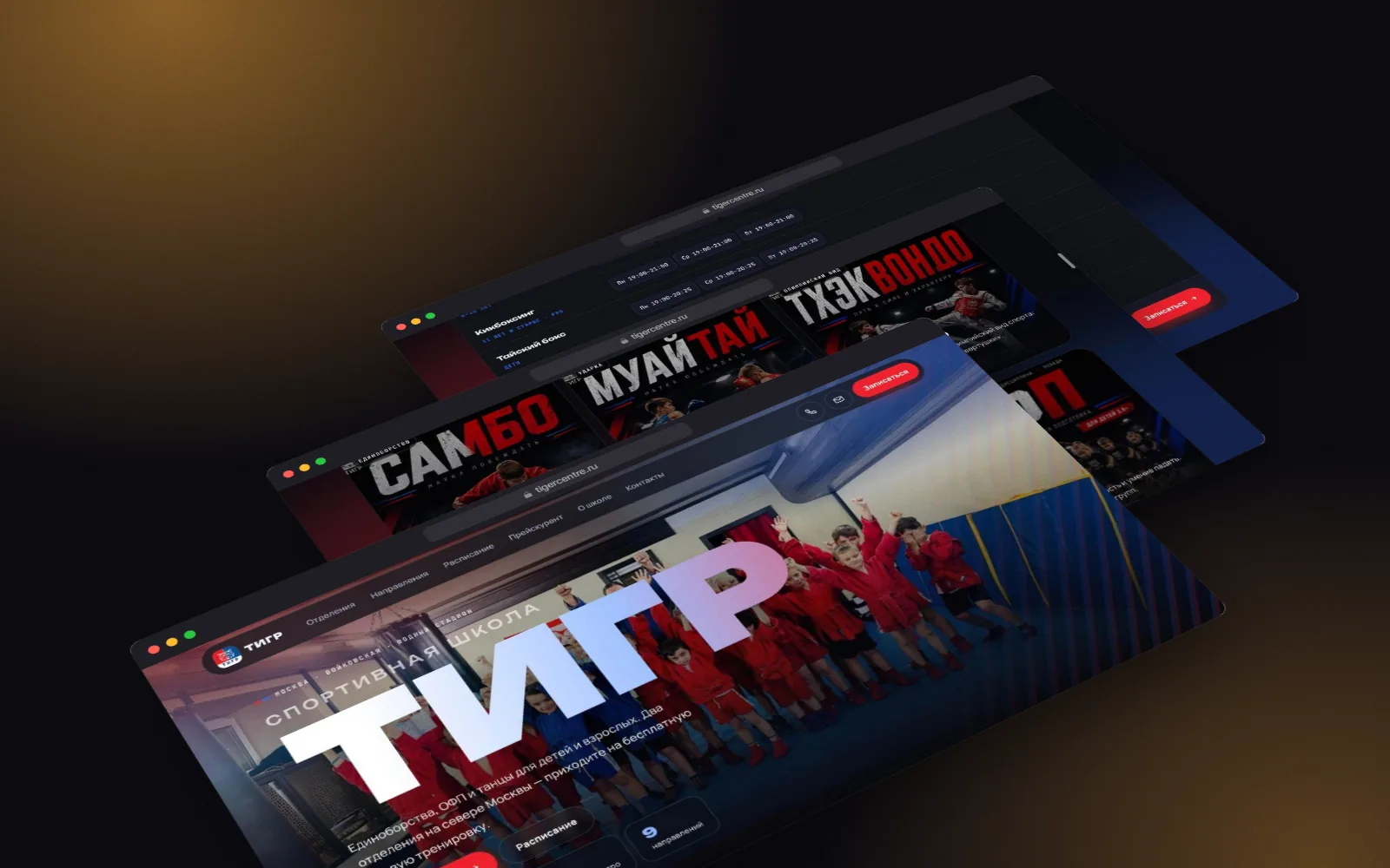 Спортивная школа «Тигр»
